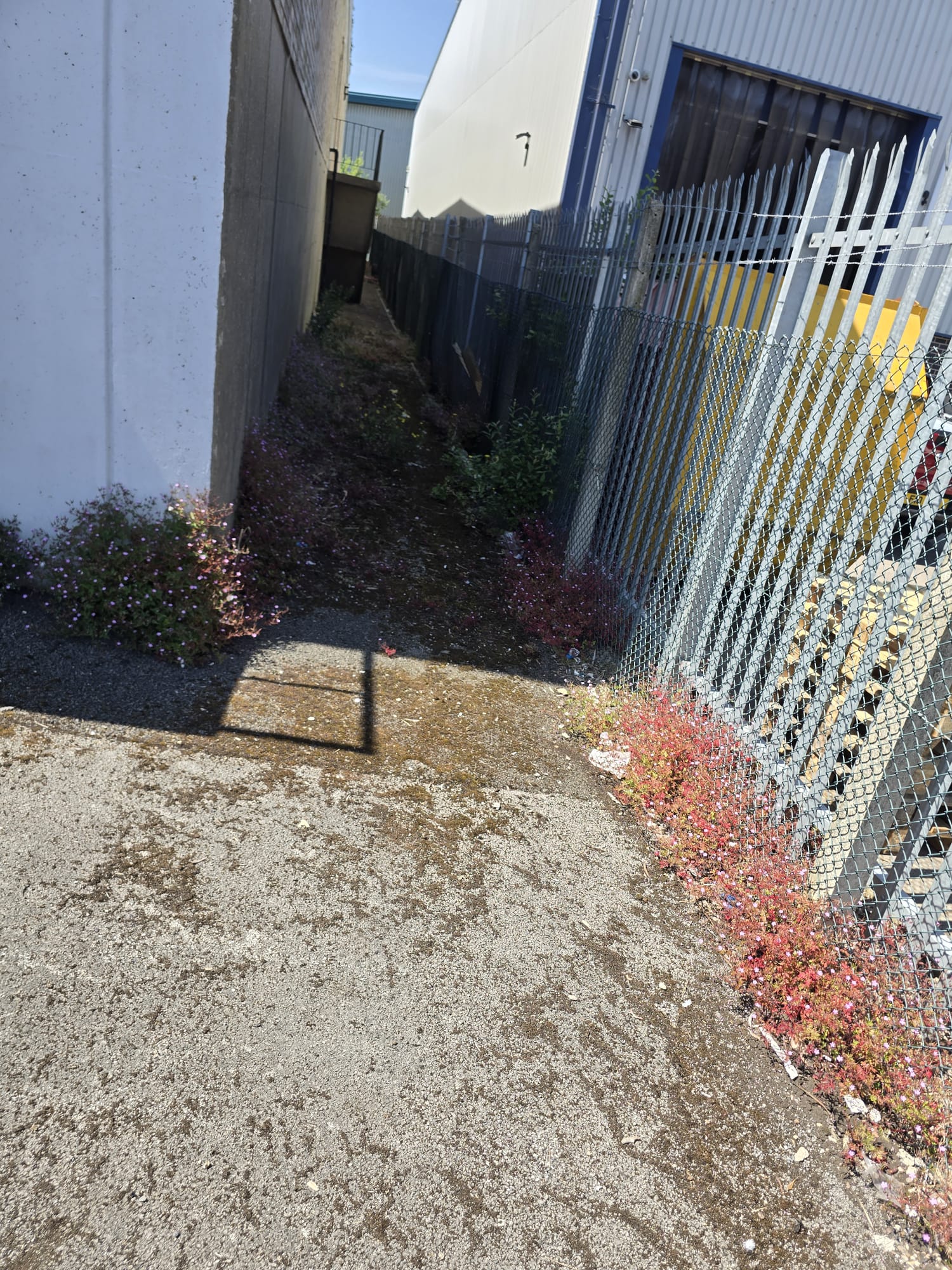 Industrial site vegetation management and clearance
